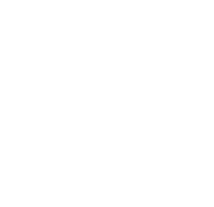 Cruz Salinas Abogados